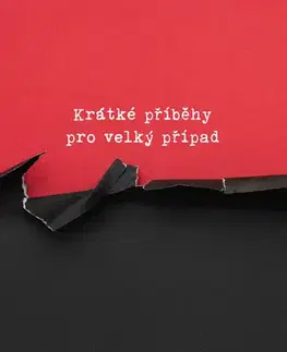 Česká beletria Krátké příběhy pro velký případ - Tomáš Rozsypálek