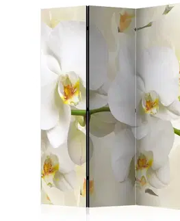 Paravány Paraván Orchid Branch Dekorhome