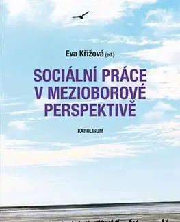 Odborná a náučná literatúra - ostatné Sociální práce v mezioborové perspektivě - Eva Křížová