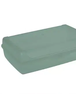 Dekorácie a bytové doplnky Click-box maxi Nordic green 30x20x8,5 3,7l 31