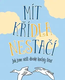 Pre deti a mládež - ostatné Mít křídla nestačí - Jan Sovák