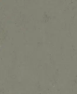 Marmoleum solid concrete FORBO Marmoleum solid concrete Glacier 3755