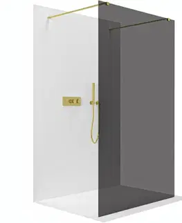Sprchové dvere CERANO - Sprchová zástena Walk-in Onyx Duo Ľ/P - 8 mm - hranatá vzpera - zlatá, grafitové sklo - 50x200 CER-8050BD1768