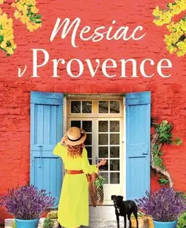 Romantická beletria Mesiac v Provence - Gillian Harvey,Nina Vlhová