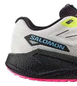 Trail Salomon Aero Blaze 3 GRVL GTX M Veľkosť: 41 1/3 EUR