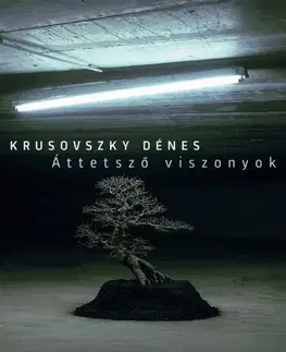 Svetová beletria Áttetsző viszonyok - Dénes Krusovszky