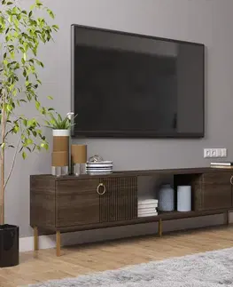 TV stolíky TV stolík Paye - Walnut