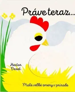Leporelá, krabičky, puzzle knihy Práve teraz… - Malé veľké zmeny v prírode - Hector Dexet