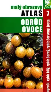Úžitková záhrada Angrešt, rybíz bílý, rybíz černý, rybíz červený, josta - Miloslav Richter