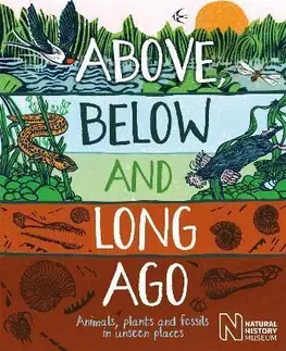 Príroda Above, Below and Long Ago - Michael Bright,Jonathan Emmerson