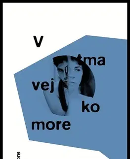 Svetová beletria V tmavej komore - Susan Faludi,Lucia Halová