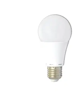 Žiarovky  LED15W-A60/E27/2700 - LED Žiarovka A60 E27/15W/230V 2700K LED15W-A60/E27/2700