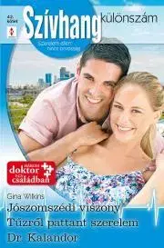 Romantická beletria Szívhang különszám 42. - Wilkins Gina