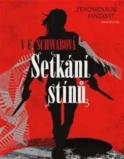 Sci-fi a fantasy Setkání stínů - Victoria Schwabová