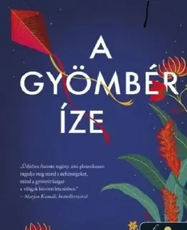 Romantická beletria A gyömbér íze - Mansi Shah