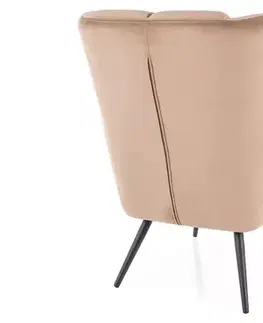 Kreslá Kreslo Louis Velvet