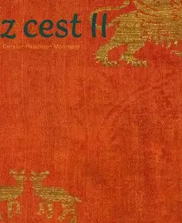 Cestopisy Zápisky z cest 2 - Ivan Foletti