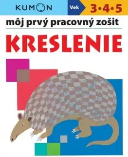 Príprava do školy, pracovné zošity Kreslenie: Môj pracovný zošit - Kolektív autorov