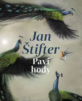 Romantická beletria Paví hody - Jan Štifter