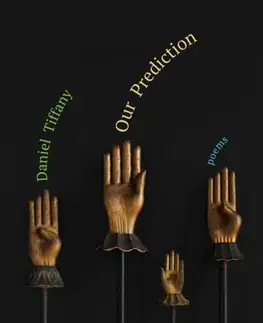 Poézia Our Prediction - Daniel Tiffany