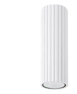 Svietidlá  SL.1531 - Bodové svietidlo KARBON 1xGU10/10W/230V 20 cm biela SL.1531