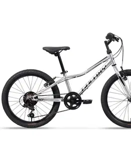 Bicykle Galaxy Neptun 20" 2025 strieborná - 10" (113-135 cm)