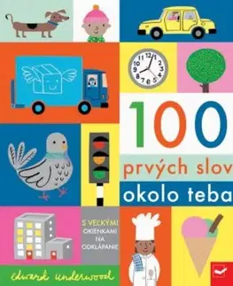 Leporelá, krabičky, puzzle knihy 100 prvých slov okolo teba - Edward Underwood