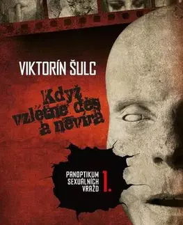 Detektívky, trilery, horory Když vzlétne děs a nevíra - Šulc Viktorín