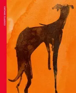 Svetová beletria Disgrace - John Maxwell Coetzee