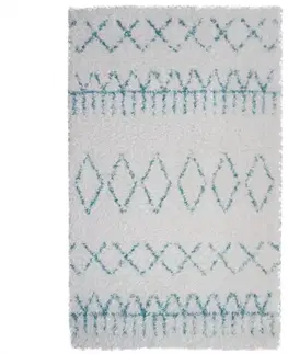 Moderné koberce Koberec Shaggy Soft Line Neptun 0,8/1,5 2146A