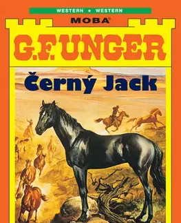 Detektívky, trilery, horory Černý Jack - G. F. Unger
