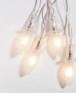 Záhradné lampy Svetelná reťaz Šiška, 20 LED žiaroviek Filament, číry kábel, základná