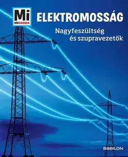 Veda a technika Mi micsoda - Elektromosság - Laura Hennemann