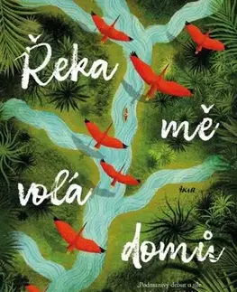 Historické romány Řeka mě volá domů - Eleanor Shearer,Petra Diestlerová