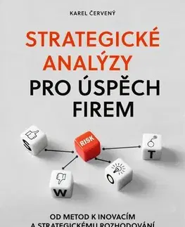 Manažment Strategické analýzy pro úspěch firem - Karel Červený