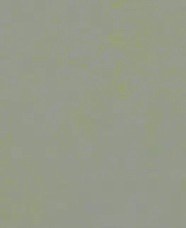 Marmoleum solid concrete FORBO Marmoleum solid concrete Green shimmer 3736