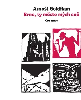 Biografie - ostatné Větrné mlýny Brno, ty město mých snů