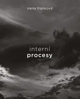 Česká beletria Interní procesy - Irena Franková