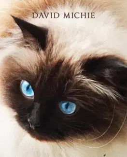 Svetová beletria A dorombolás művészete - David Michie