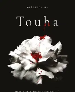 Fantasy, upíri Touha - Tracy Wolff,Drahomíra Michnová
