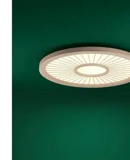 Svietidlá Eglo 390296 - LED Stmievateľné stropné svietidlo DEHESA LED/36W/230V 4000K 390296