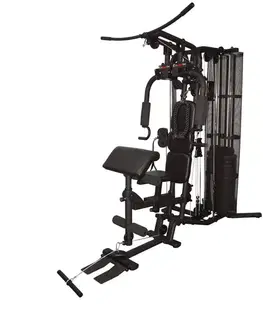 Posilňovacie veže Posilňovacia veža inSPORTline ProfiGym C100
