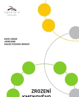 Manažment Zrození kmenového vůdce - Dave Logan,John King,Halee Fischer - Wright
