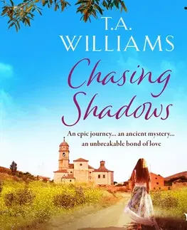 Romantická beletria Saga Egmont Chasing Shadows (EN)