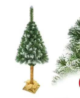 Vianočné dekorácie  Vianočný stromček na kmeni 180 cm borovica EL-SODEP180