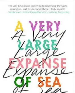 Young adults A Very Large Expanse of Sea - Tahereh Mafi