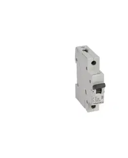 Predlžovacie káble Legrand - Jednopólový istič RX3 1P C 25A 6000A 419204