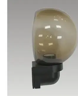 Záhradné lampy Prezent Vonkajšie svietidlo ASTOR 1xE27/25W čierna