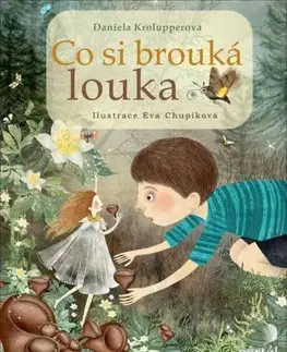 Rozprávky Co si brouká louka - Daniela Krolupperová,Eva Chupíková