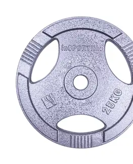 Závažia k činkám Liatinový kotúč inSPORTline Hamerton 25 kg 30 mm